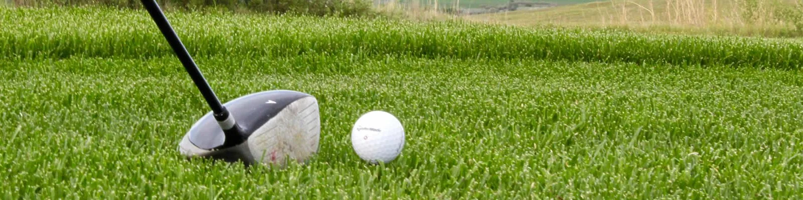 River Ridge Golf Club - On the Green